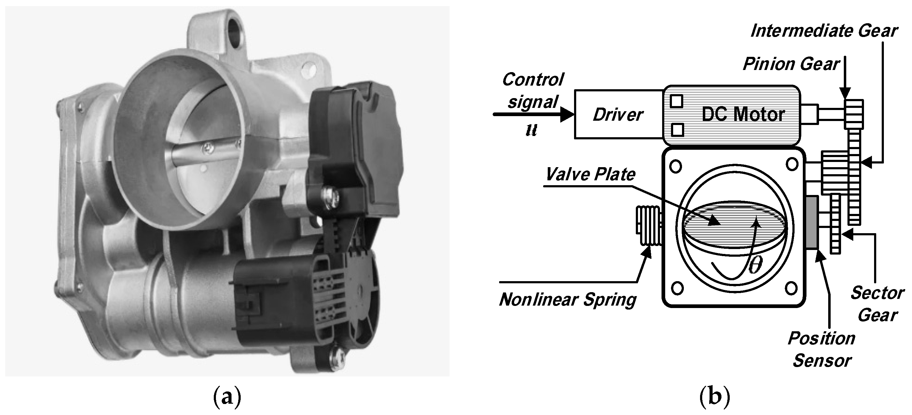 Week 4 Project Transient simulation of flow over a throttle body